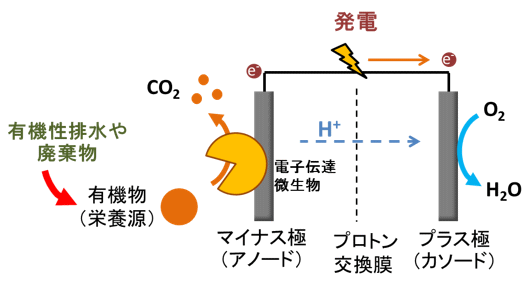 什么是微生物燃料電池？